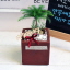 오늘본 이미지