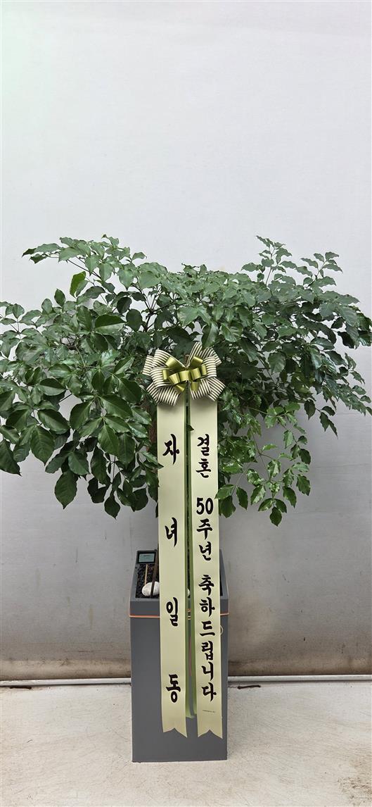 배송사진2