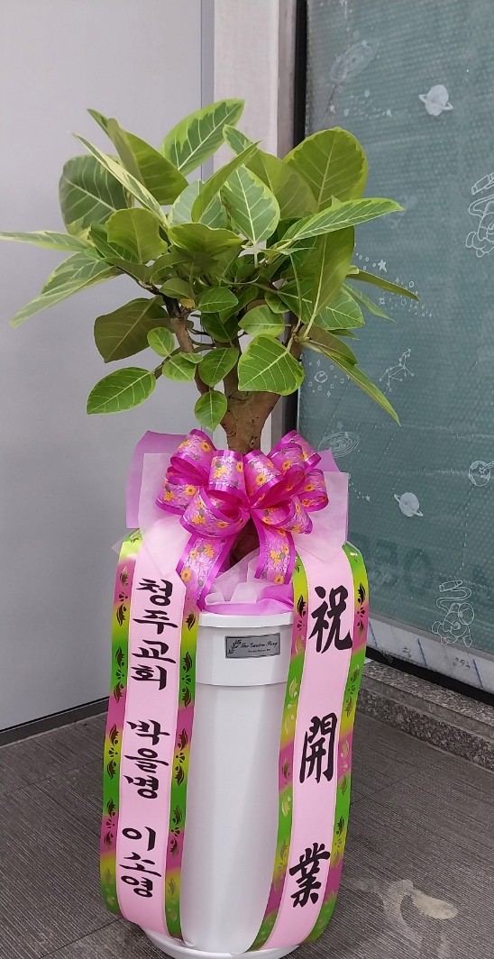 배송사진