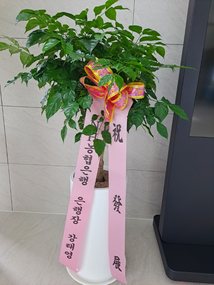배송사진