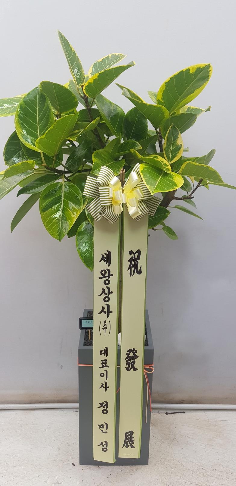 배송사진2