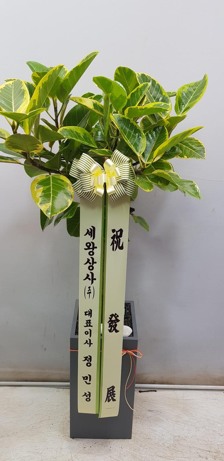 배송사진2