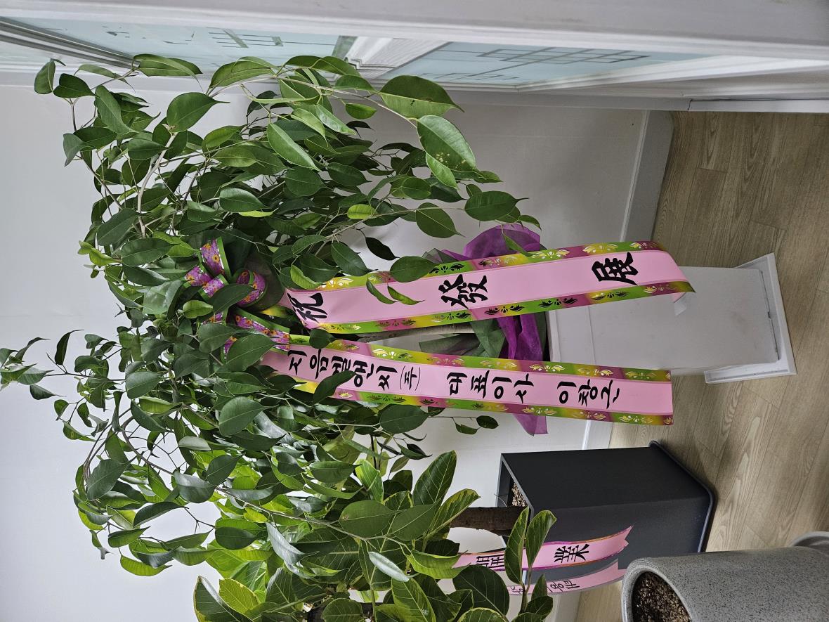 배송사진