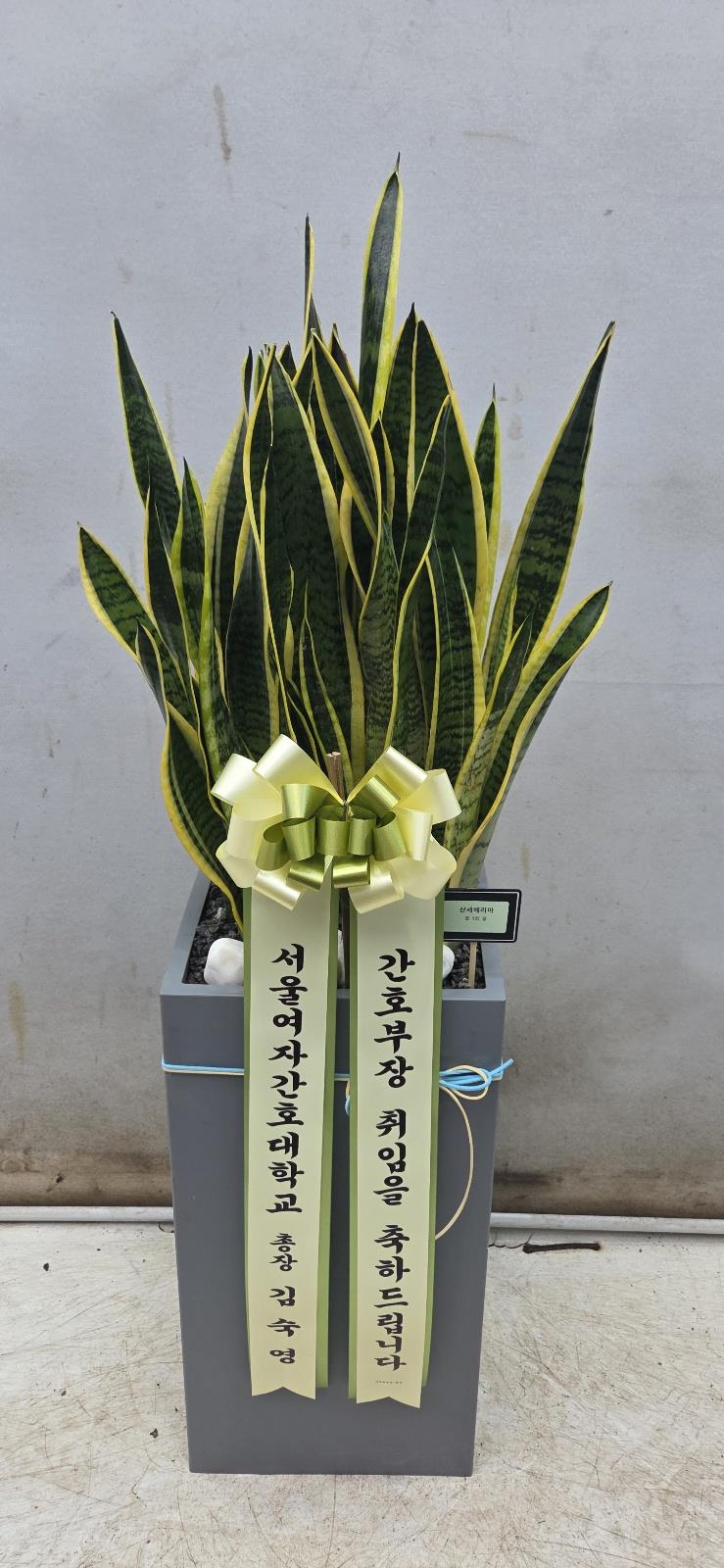 배송사진2