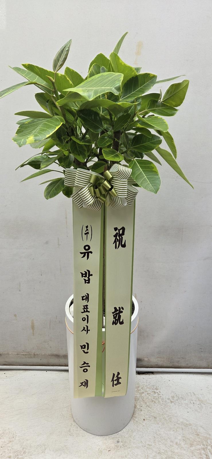 배송사진2