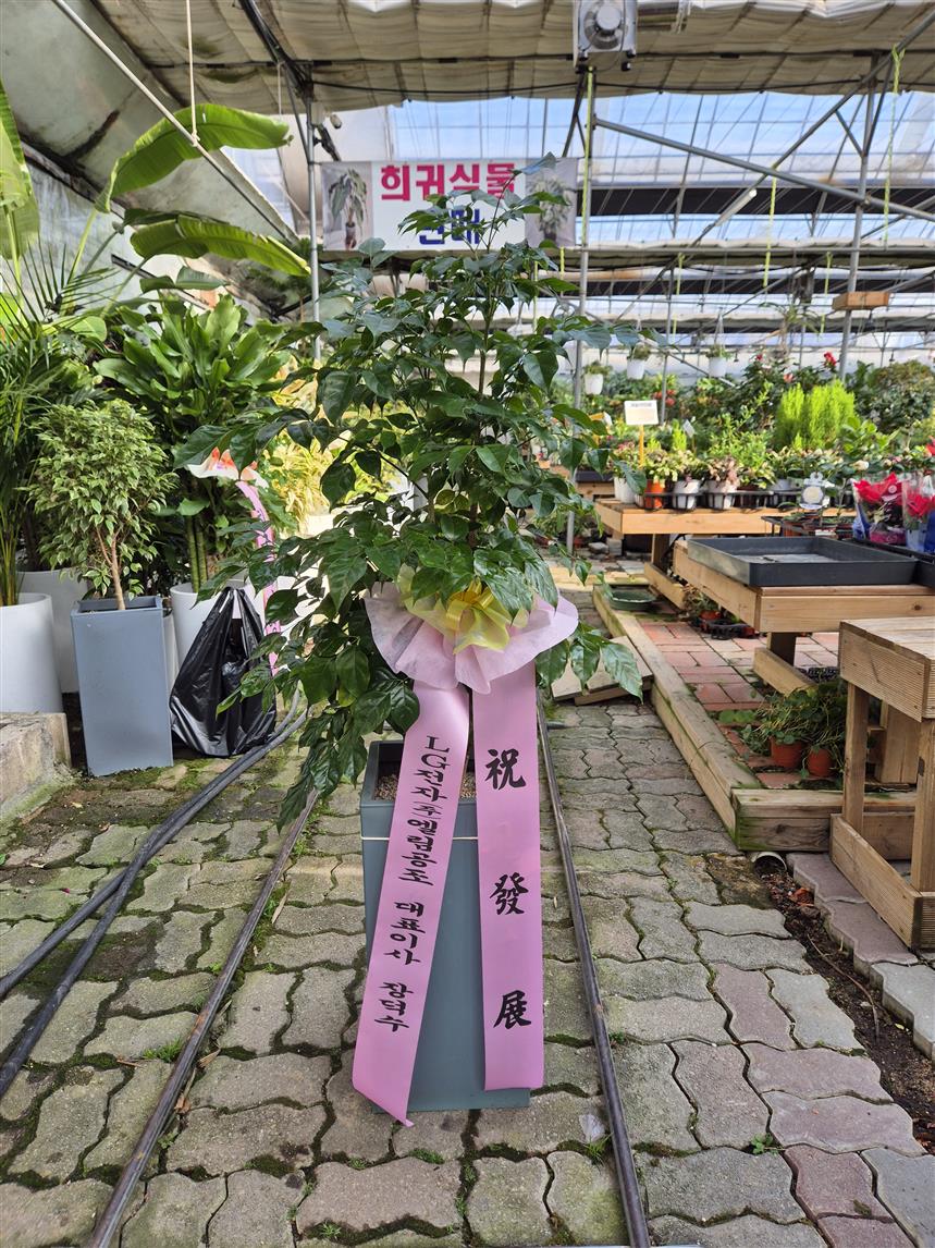 배송사진