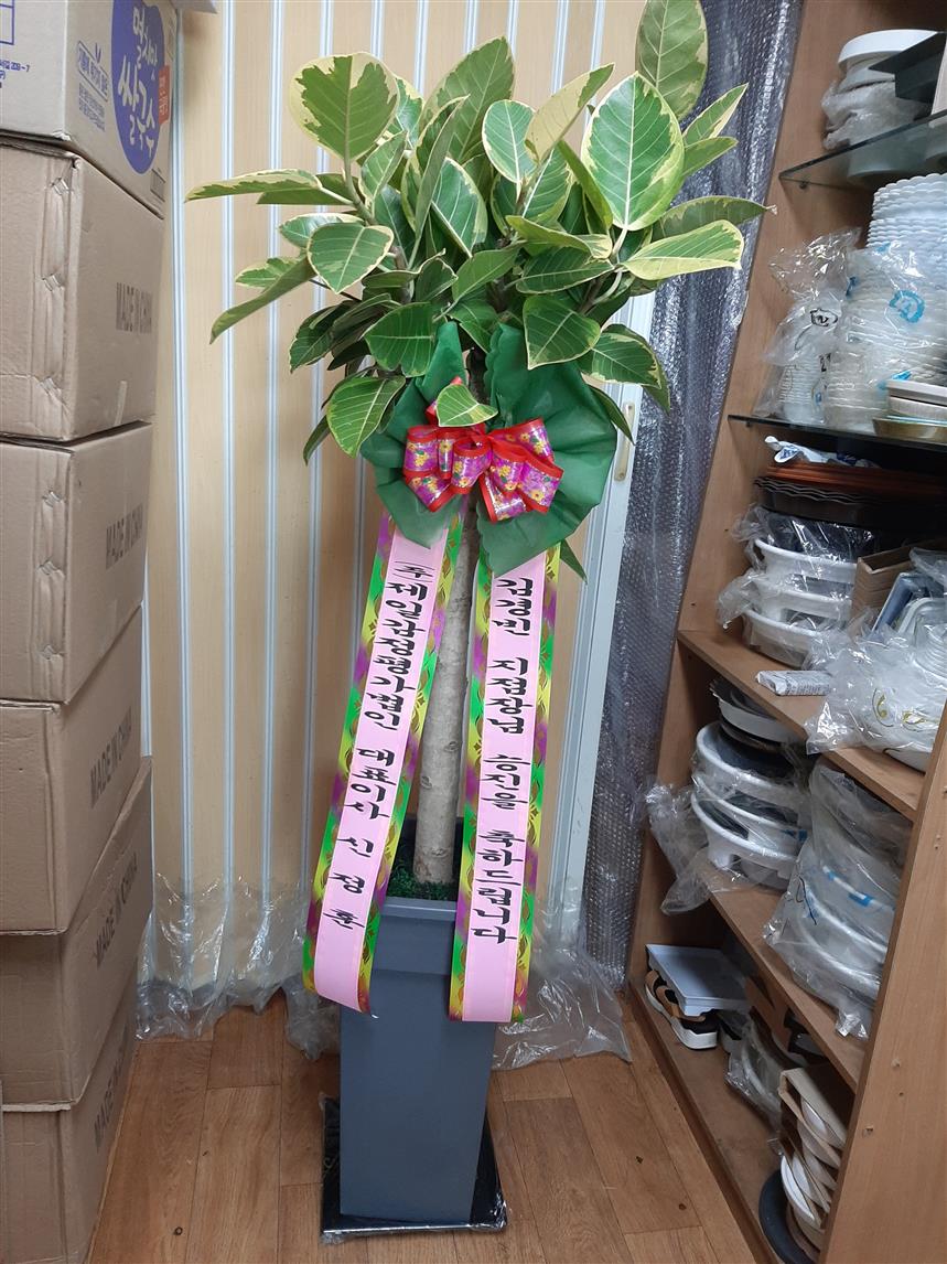 배송사진