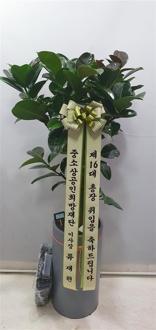 배송사진2