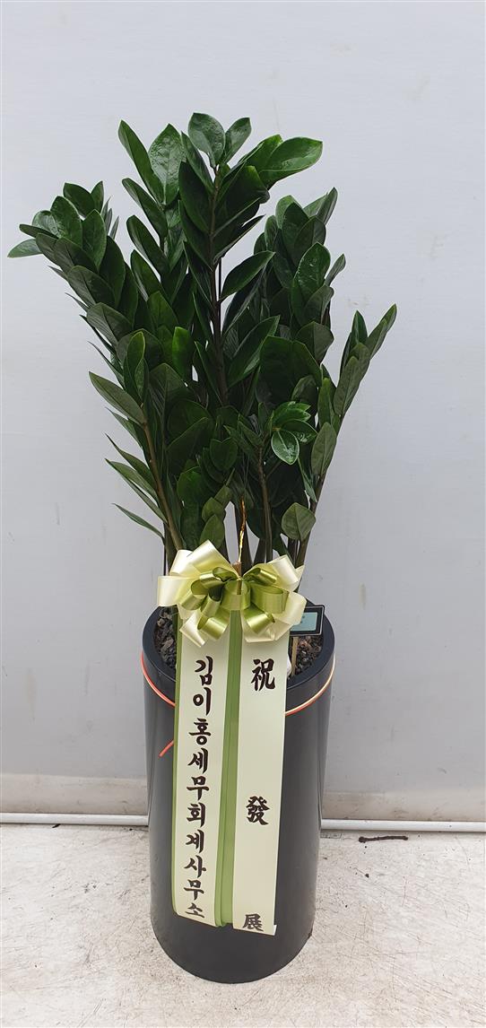 배송사진2