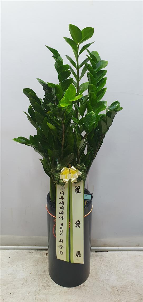 배송사진2