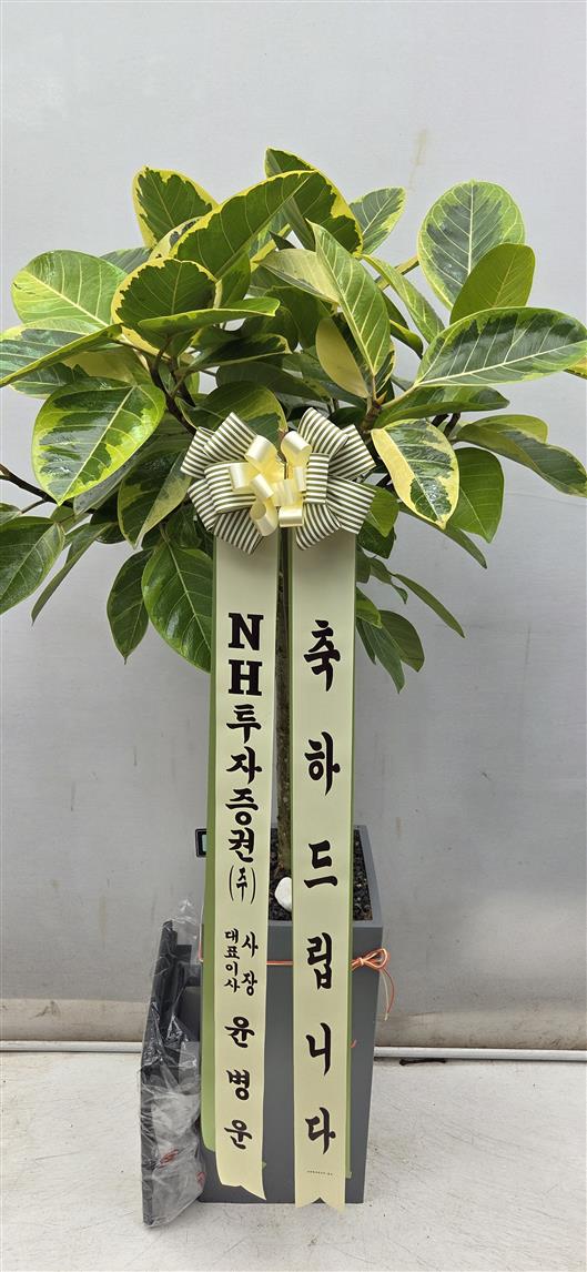 배송사진2