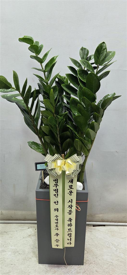 배송사진2