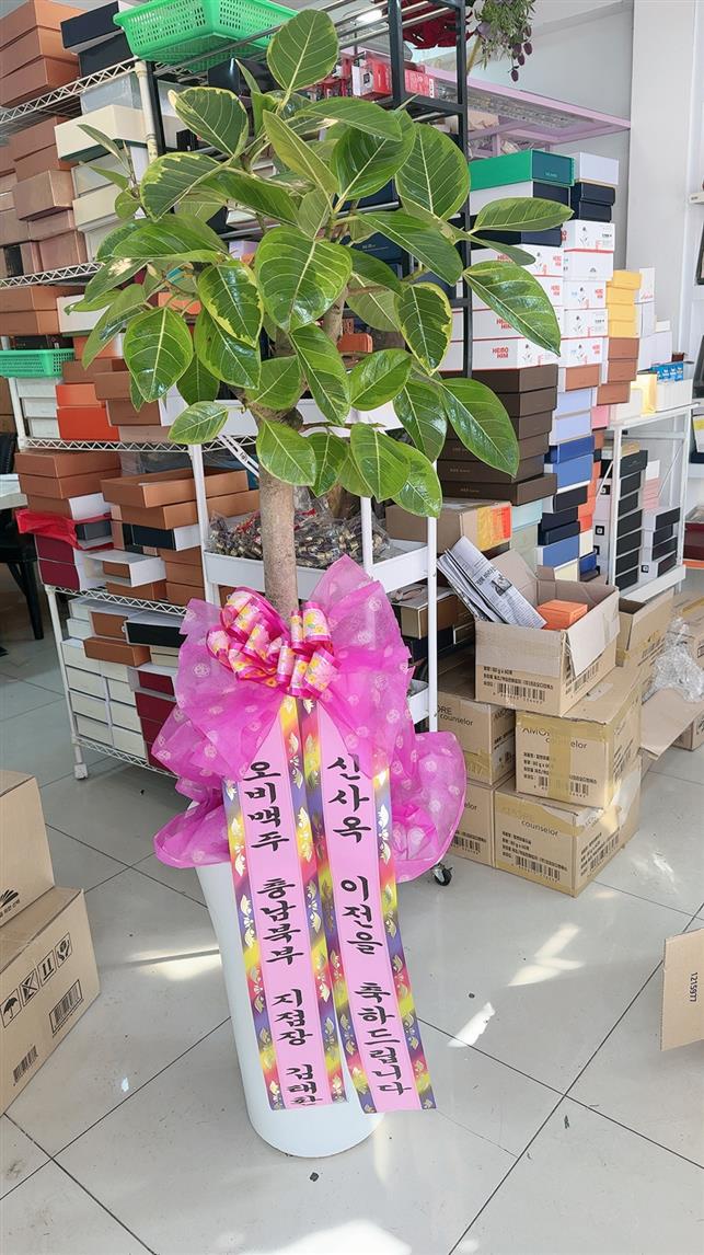 배송사진