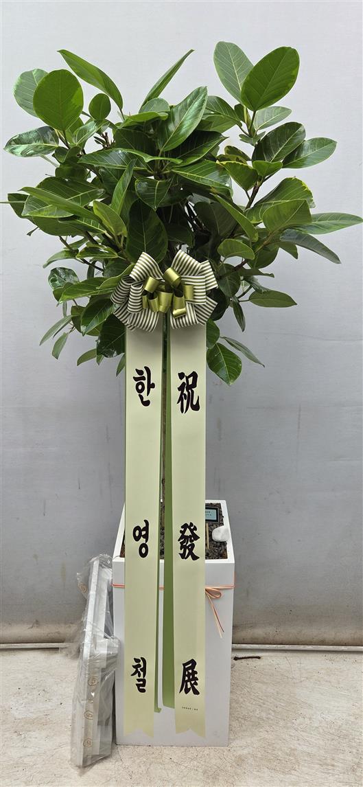 배송사진2