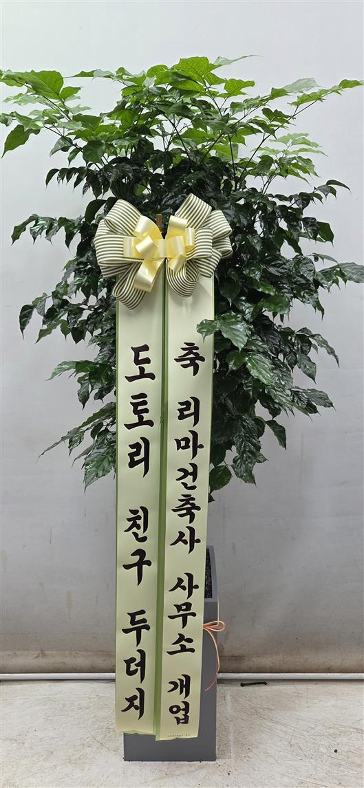 배송사진2