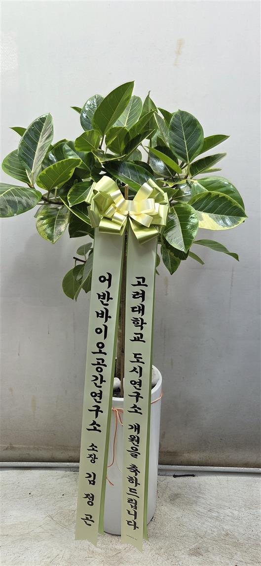 배송사진2