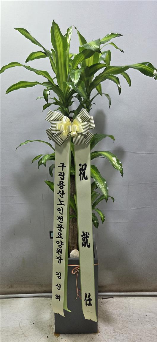 배송사진2