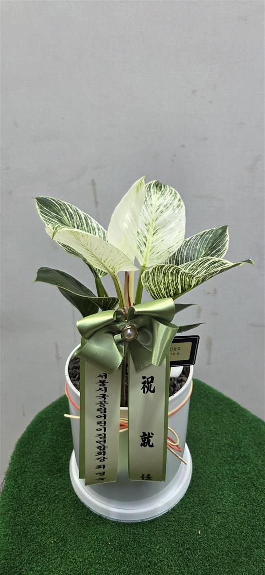 배송사진2