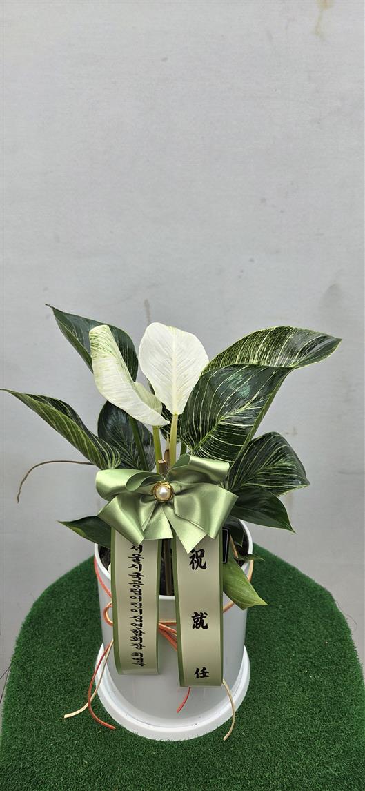배송사진2
