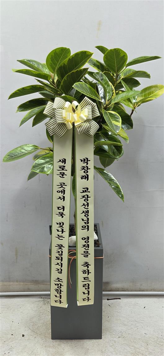 배송사진2