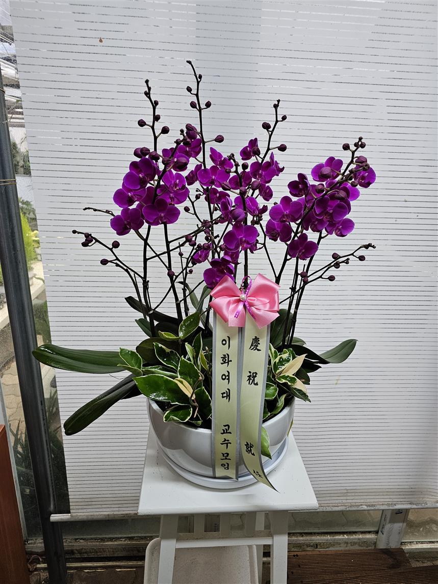 배송사진2