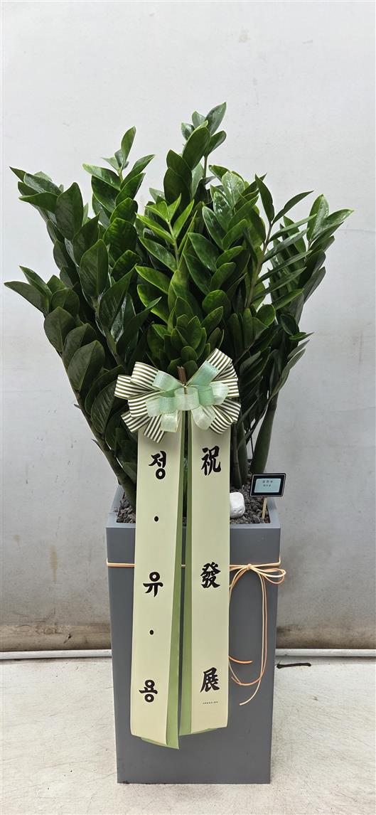 배송사진2