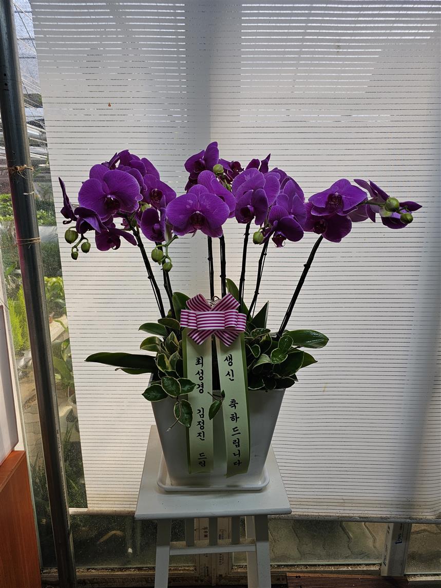 배송사진2