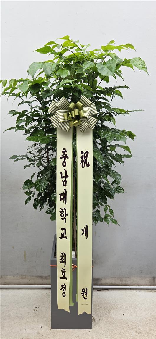 배송사진2