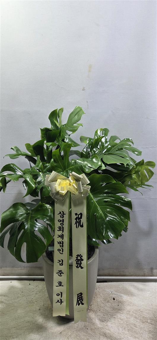 배송사진2