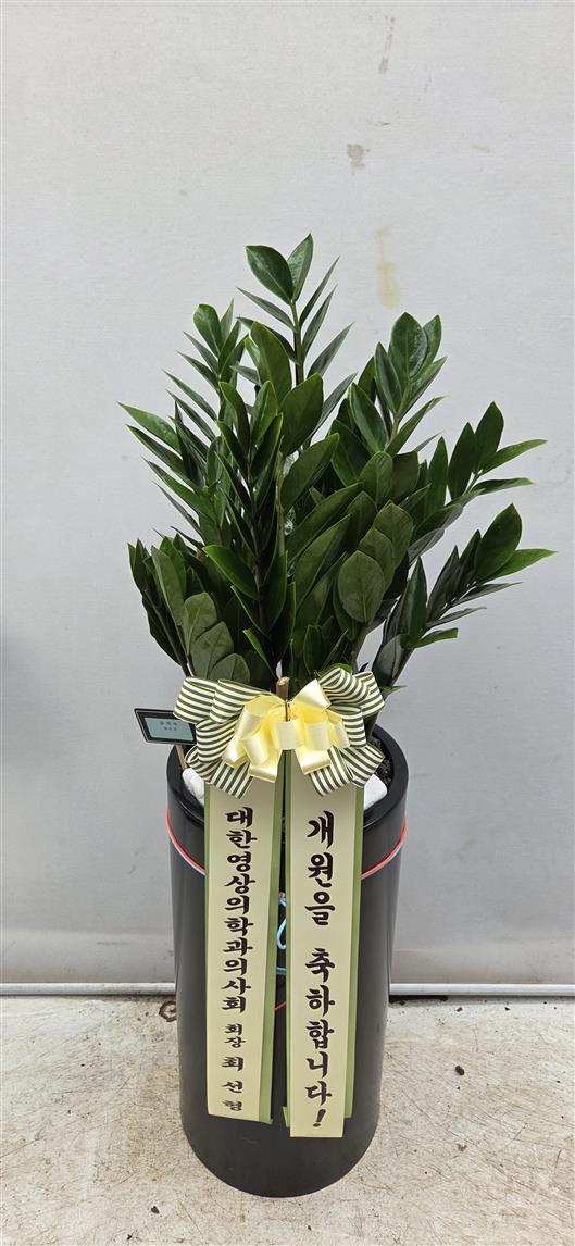 배송사진2