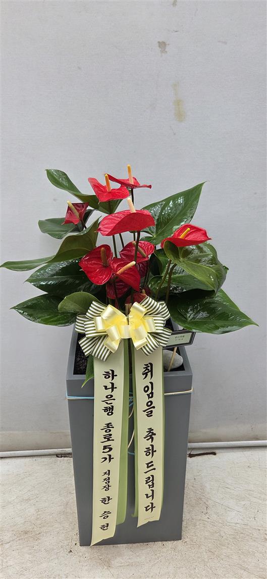 배송사진2