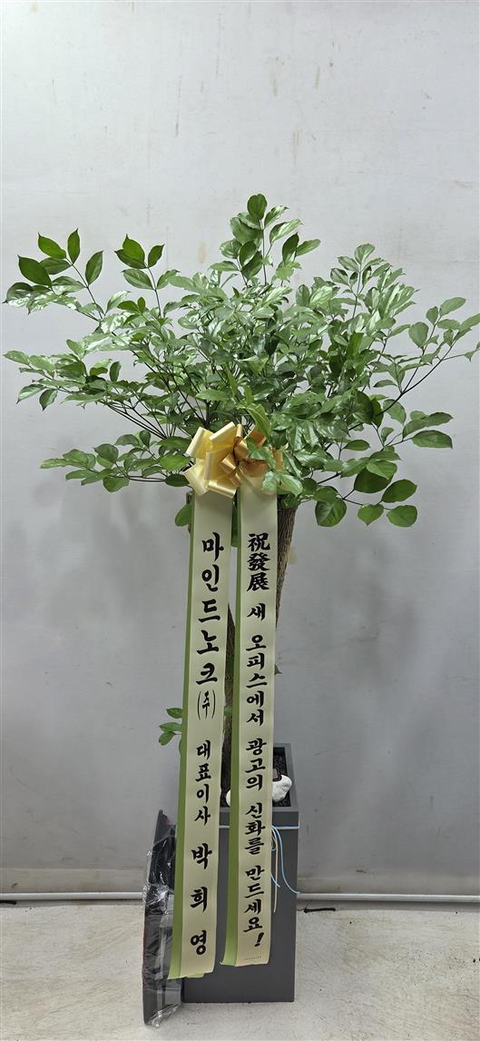 배송사진