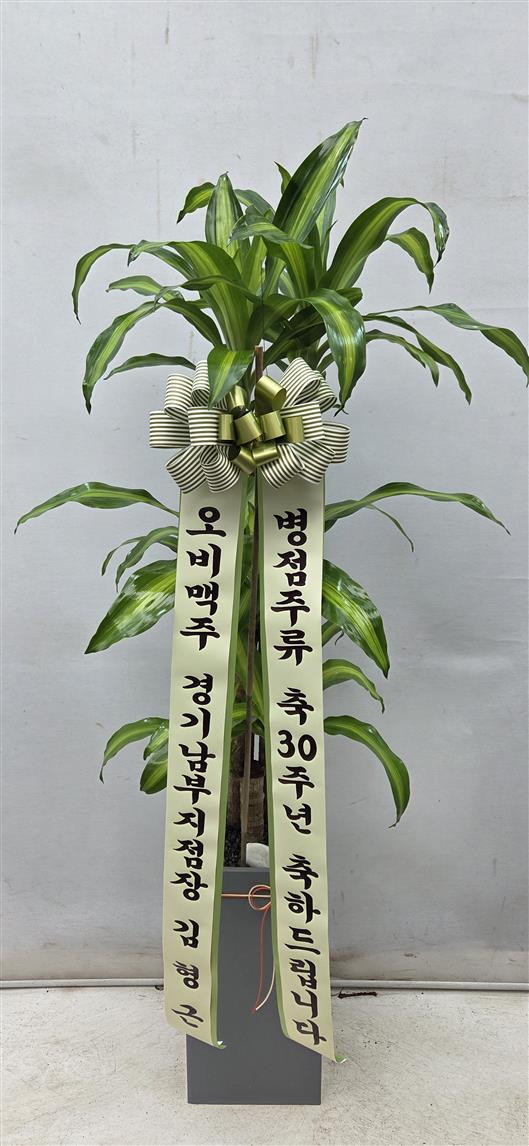 배송사진2