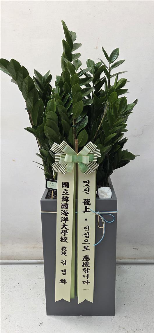 배송사진2
