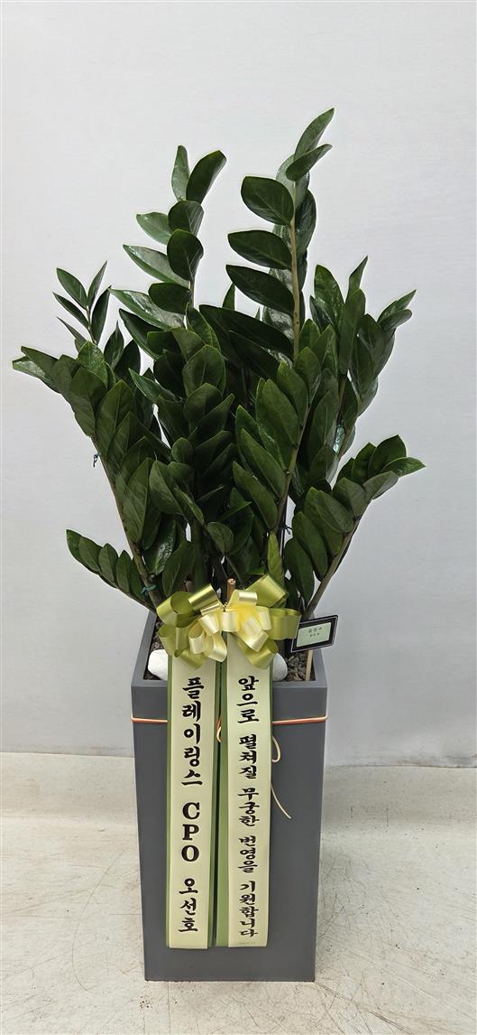 배송사진2