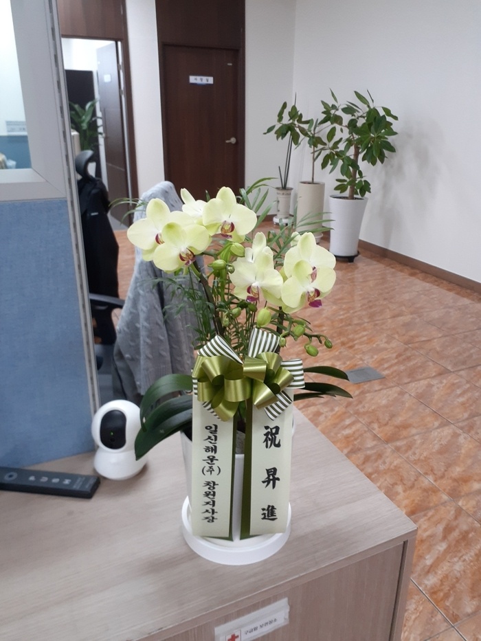 배송사진