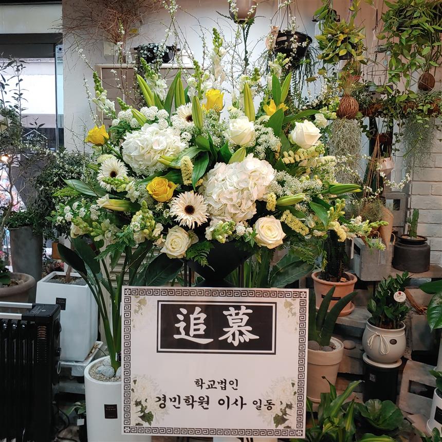 꼬깔근조 1단