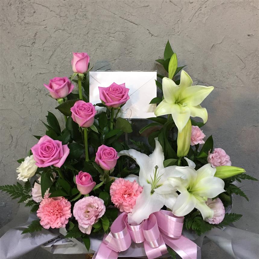꼬마울타리