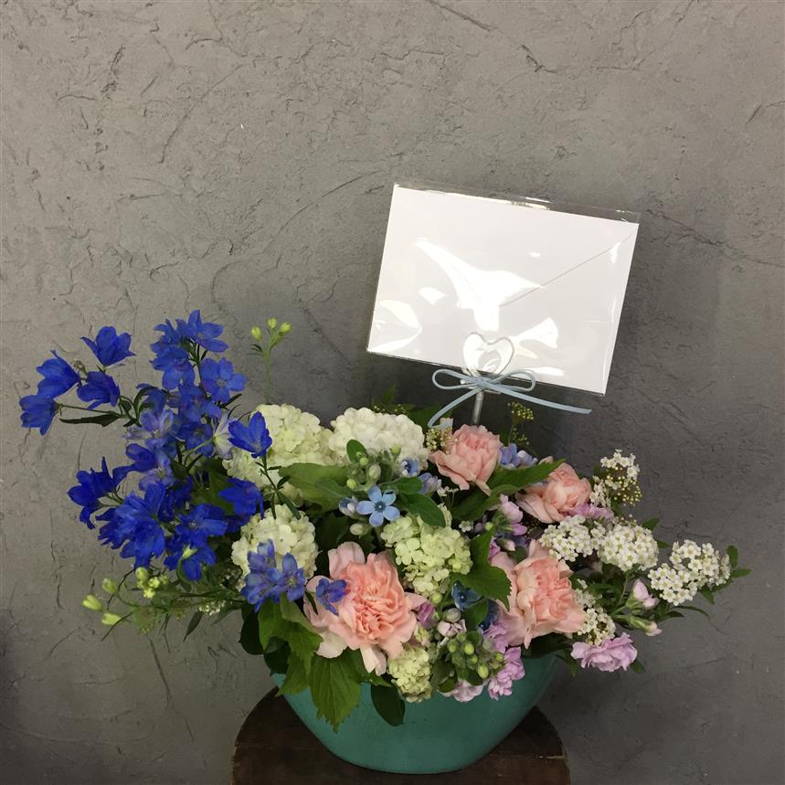 블루 밤비