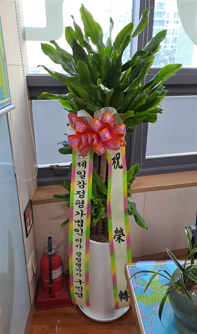 배송사진