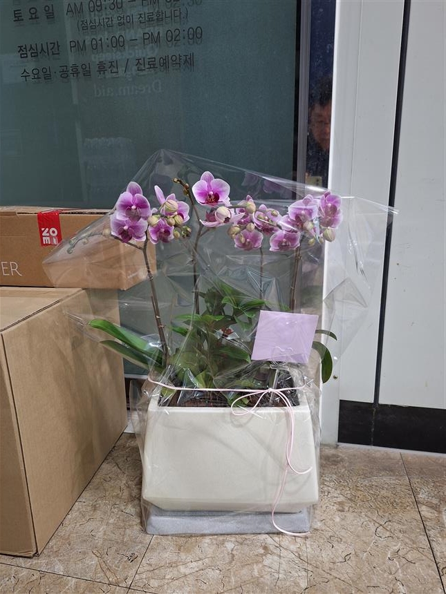 배송사진