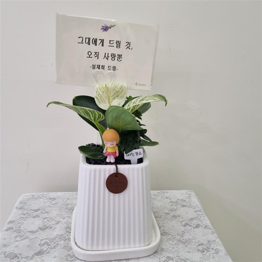 버킨콩고