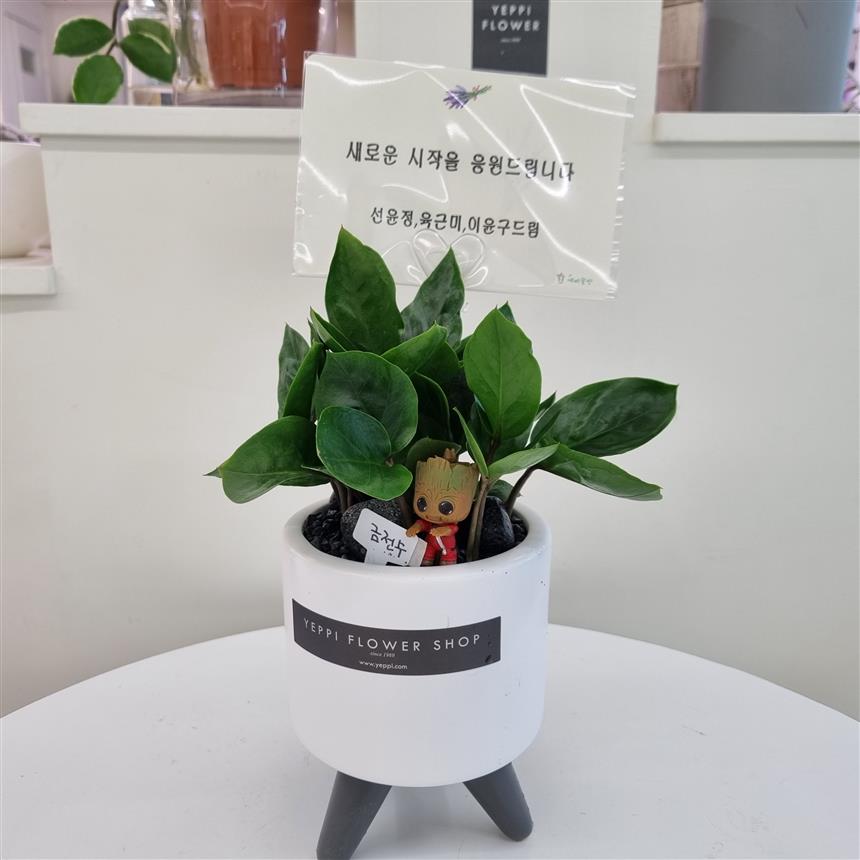 배송사진