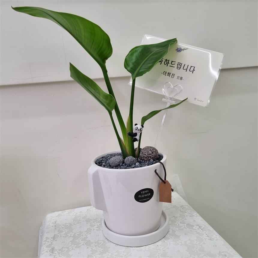 배송사진