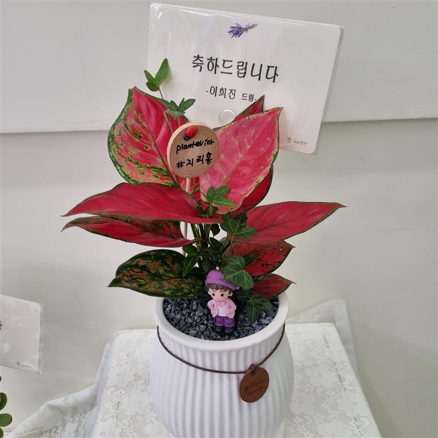 배송사진