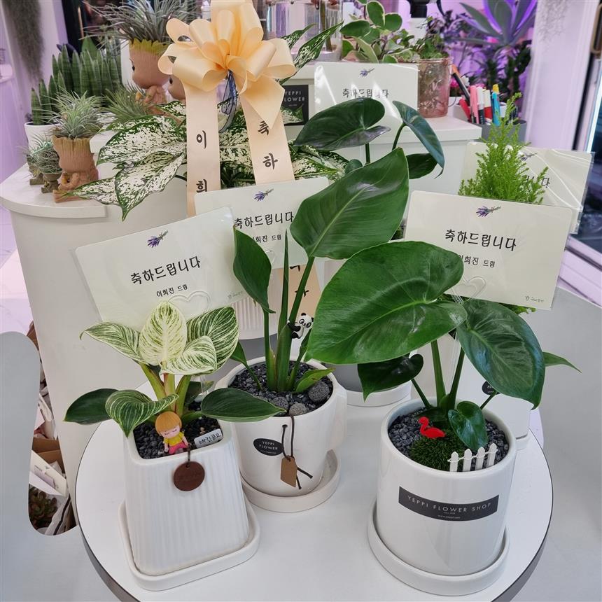 배송사진