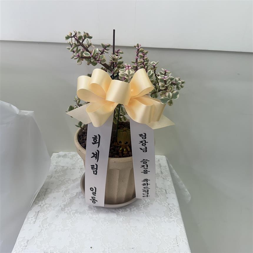 배송사진