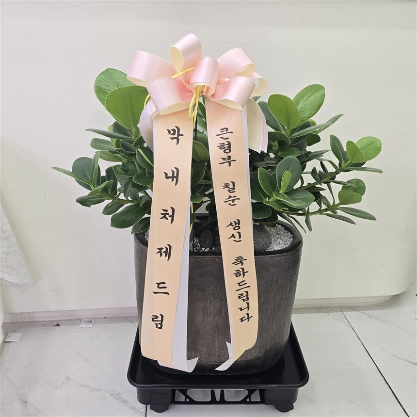 배송사진