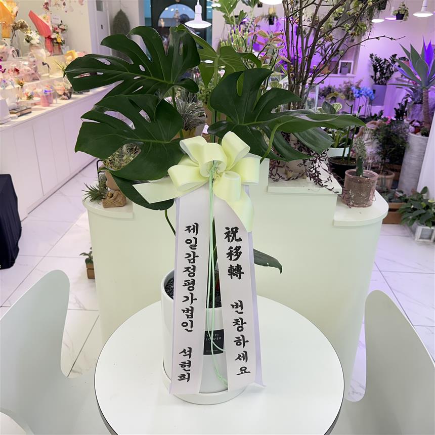 배송사진