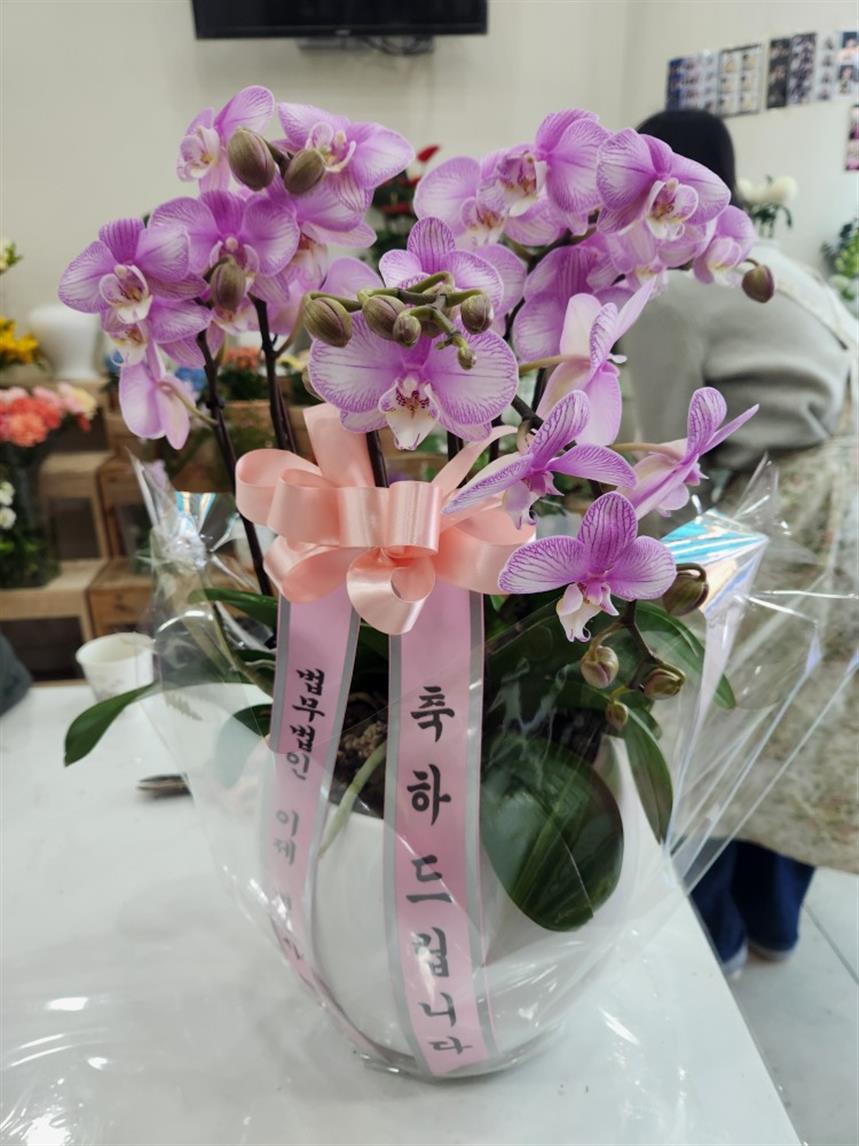 배송사진